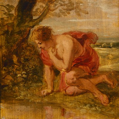 Narcissus by Peter Paul Rubens